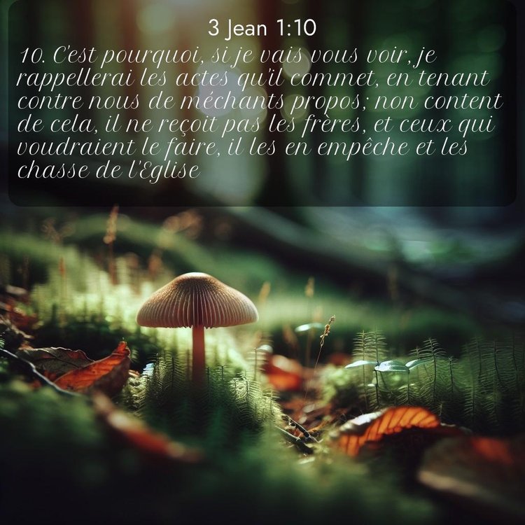 Segond 3 Jean 1:10