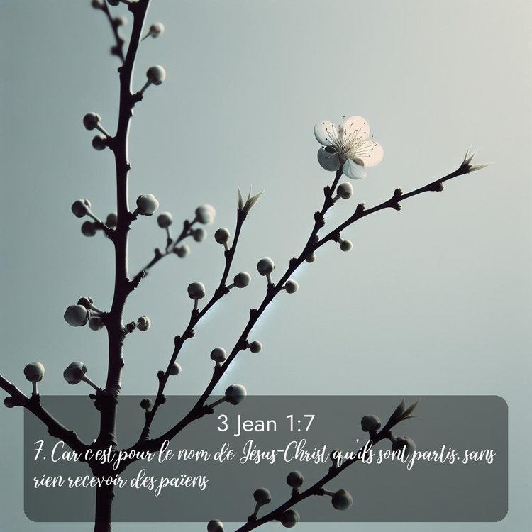 Segond 3 Jean 1:7