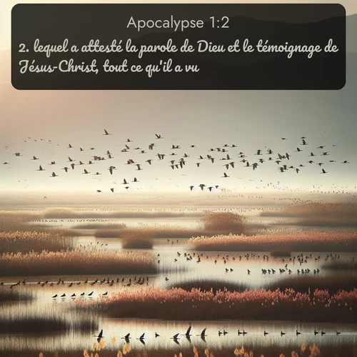 Segond 66 1:2