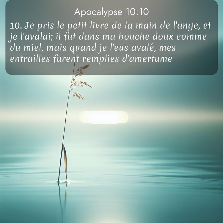 Segond Apocalypse 10:10