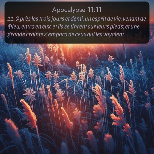 Segond Apocalypse  ; image nature: image avec le verset biblique :Après les trois jours et demi, un esprit de vie, venant de Dieu, entra en eux, et ils se tinrent sur leurs pieds; et une grande crainte s&#039;empara de ceux qui les voyaient. ;  ; 11:11