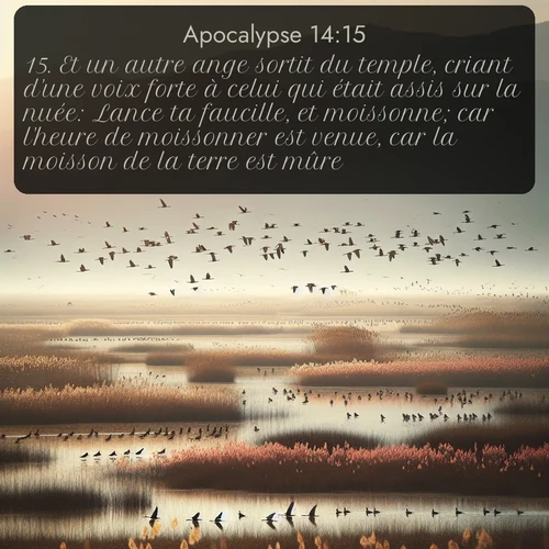 Segond Apocalypse  ; image nature: image avec le verset biblique :Et un autre ange sortit du temple, criant d&#039;une voix forte à celui qui était assis sur la nuée: Lance ta faucille, et moissonne; car l&#039;heure de moissonner est venue, car la moisson de la terre est mûre. ;  ; 14:15