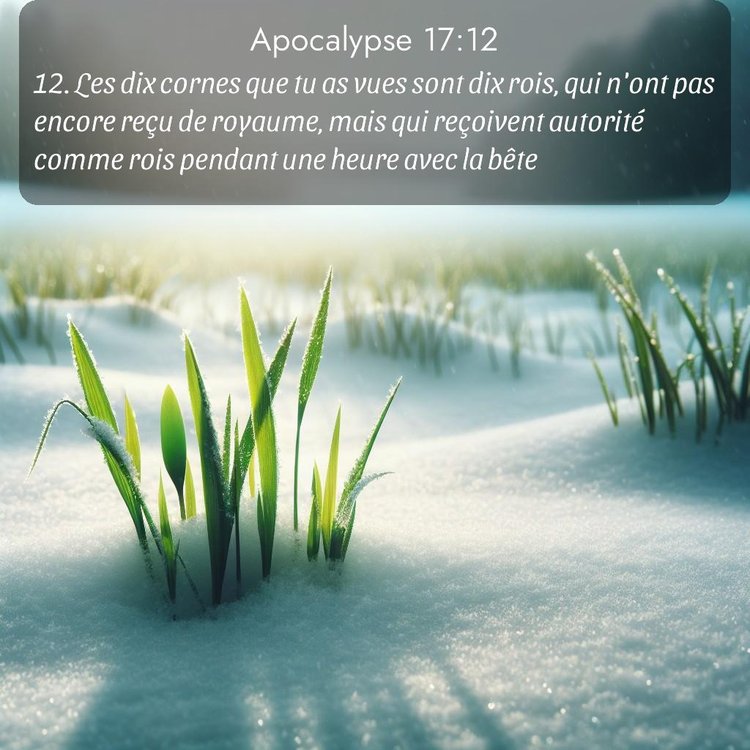 Segond Apocalypse 17:12