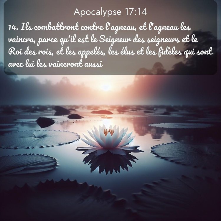 Segond Apocalypse 17:14