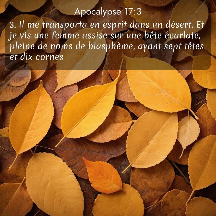 Segond Apocalypse 17:3