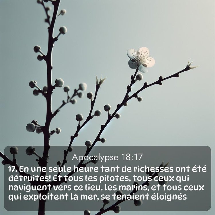 image nature avec verset biblique de la Bible