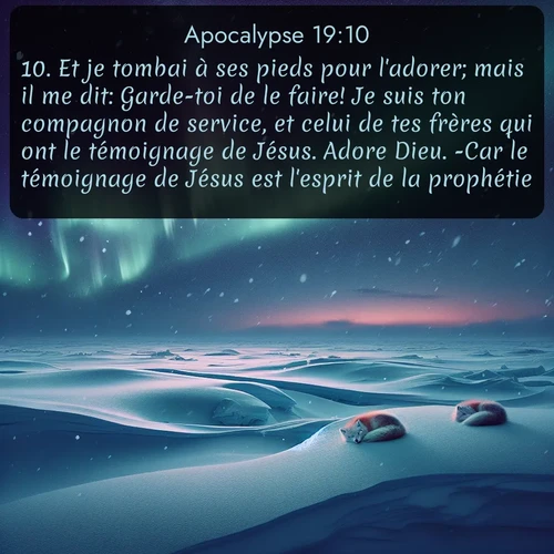 Segond Apocalypse  ; image nature: image avec le verset biblique :Et je tombai à ses pieds pour l&#039;adorer; mais il me dit: Garde-toi de le faire! Je suis ton compagnon de service, et celui de tes frères qui ont le témoignage de Jésus. Adore Dieu. -Car le témoignage de Jésus est l&#039;esprit de la prophétie. ;  ; 19:10