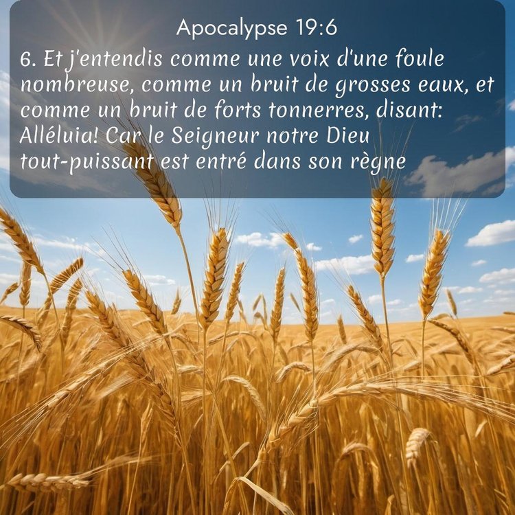 Segond Apocalypse 19:6