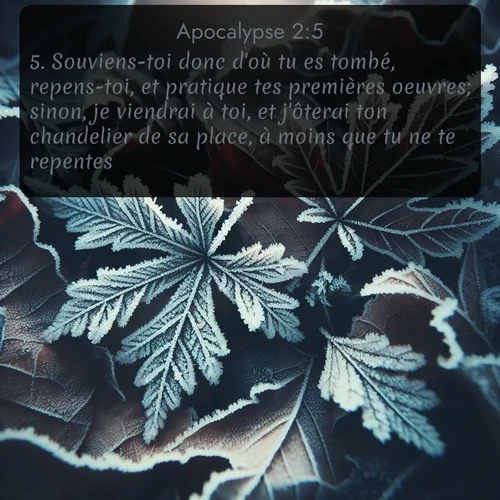 Segond Apocalypse  ; image nature: image avec le verset biblique :Souviens-toi donc d&#039;où tu es tombé, repens-toi, et pratique tes premières oeuvres; sinon, je viendrai à toi, et j&#039;ôterai ton chandelier de sa place, à moins que tu ne te repentes. ;  ; 2:5