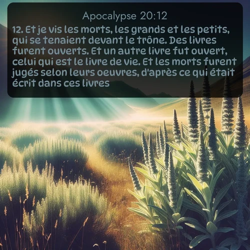 Segond Apocalypse  ; image nature: image avec le verset biblique :Et je vis les morts, les grands et les petits, qui se tenaient devant le trône. Des livres furent ouverts. Et un autre livre fut ouvert, celui qui est le livre de vie. Et les morts furent jugés selon leurs oeuvres, d&#039;après ce qui était écrit dans ces livres. ;  ; 20:12