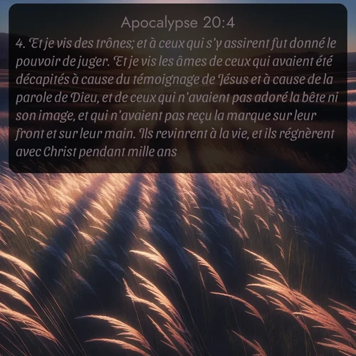 Segond Apocalypse  ; image nature: image avec le verset biblique :Et je vis des trônes; et à ceux qui s&#039;y assirent fut donné le pouvoir de juger. Et je vis les âmes de ceux qui avaient été décapités à cause du témoignage de Jésus et à cause de la parole de Dieu, et de ceux qui n&#039;avaient pas adoré la bête ni son image, et qui n&#039;avaient pas reçu la marque sur leur front et sur leur main. Ils revinrent à la vie, et ils régnèrent avec Christ pendant mille ans. ;  ; 20:4