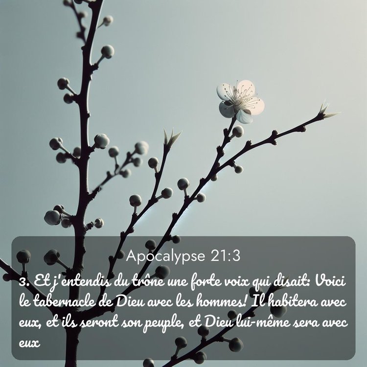 image nature avec verset biblique de la Bible