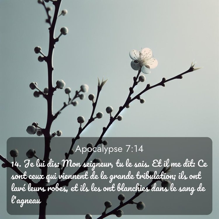 image nature avec verset biblique de la Bible