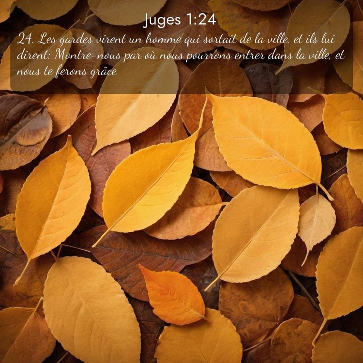 Segond Juges 1:24