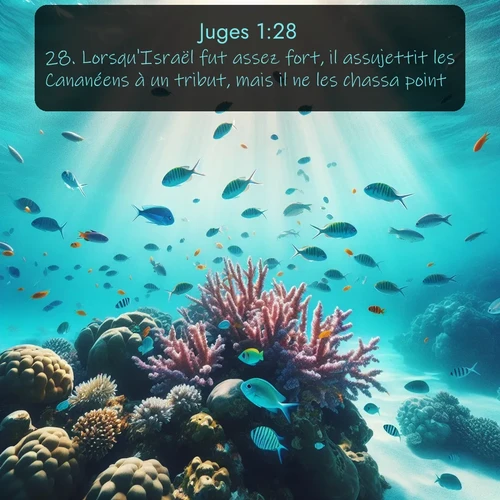 Segond Juges  ; image nature: image avec le verset biblique :Lorsqu&#039;Israël fut assez fort, il assujettit les Cananéens à un tribut, mais il ne les chassa point. ;  ; 1:28