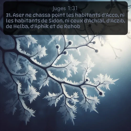 Segond Juges  ; image nature: image avec le verset biblique :Aser ne chassa point les habitants d&#039;Acco, ni les habitants de Sidon, ni ceux d&#039;Achlal, d&#039;Aczib, de Helba, d&#039;Aphik et de Rehob; ;  ; 1:31