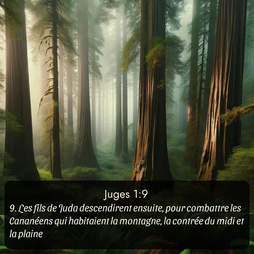 Segond Juges  ; image nature: image avec le verset biblique :Les fils de Juda descendirent ensuite, pour combattre les Cananéens qui habitaient la montagne, la contrée du midi et la plaine. ;  ; 1:9