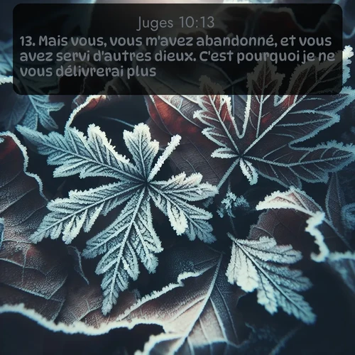 Segond Juges  ; image nature: image avec le verset biblique :Mais vous, vous m&#039;avez abandonné, et vous avez servi d&#039;autres dieux. C&#039;est pourquoi je ne vous délivrerai plus. ;  ; 10:13