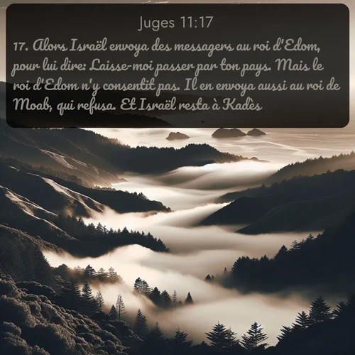 Segond Juges  ; image nature: image avec le verset biblique :Alors Israël envoya des messagers au roi d&#039;Edom, pour lui dire: Laisse-moi passer par ton pays. Mais le roi d&#039;Edom n&#039;y consentit pas. Il en envoya aussi au roi de Moab, qui refusa. Et Israël resta à Kadès. ;  ; 11:17