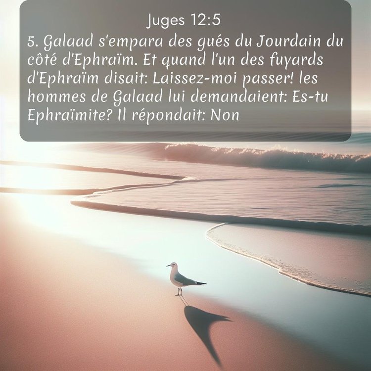 Segond Juges 12:5