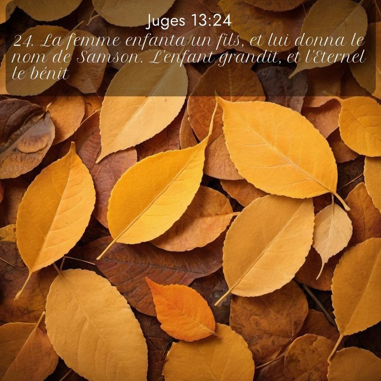 Segond Juges 13:24