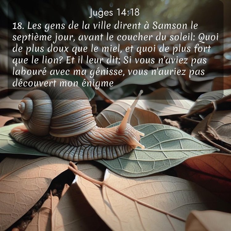 image nature avec verset biblique de la Bible