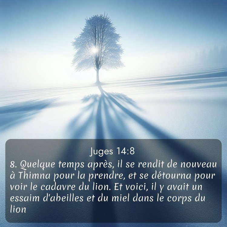 Segond Juges 14:8