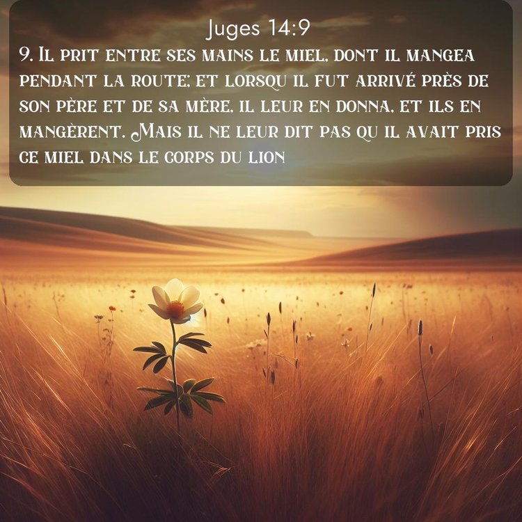 Segond Juges 14:9