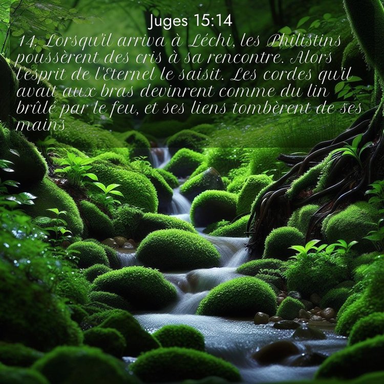 Segond Juges 15:14