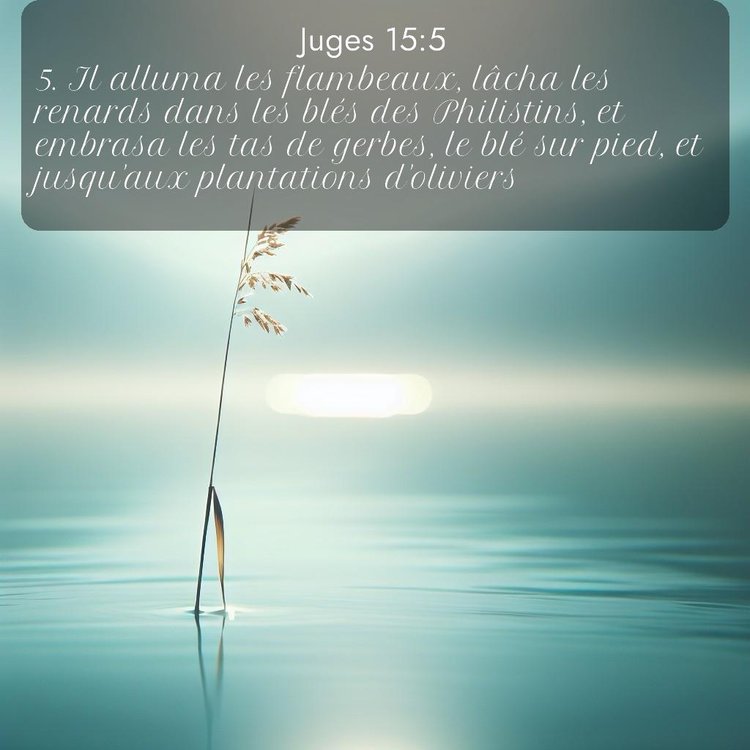 image nature avec verset biblique de la Bible