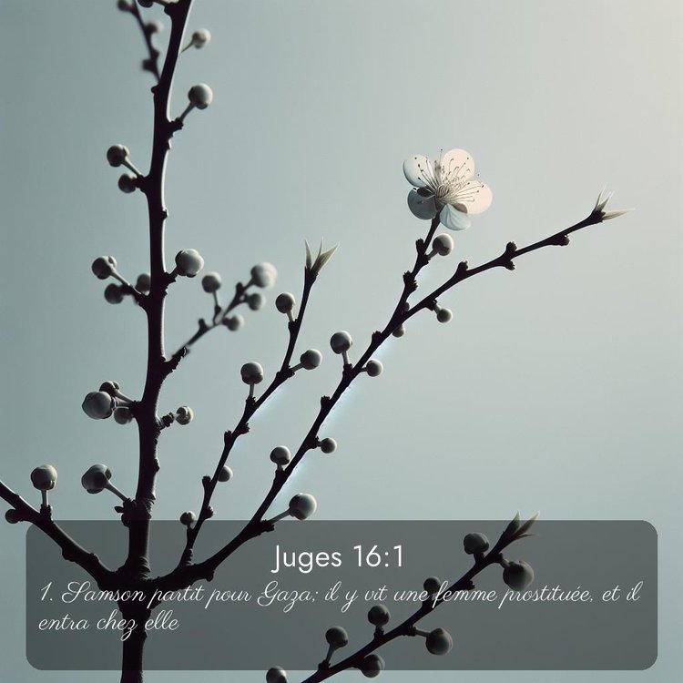 image nature avec verset biblique de la Bible