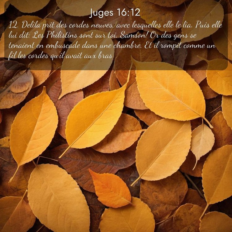 image nature avec verset biblique de la Bible