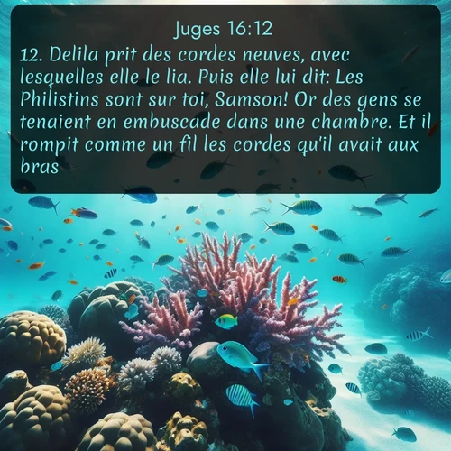 Segond Juges  ; image nature: image avec le verset biblique :Delila prit des cordes neuves, avec lesquelles elle le lia. Puis elle lui dit: Les Philistins sont sur toi, Samson! Or des gens se tenaient en embuscade dans une chambre. Et il rompit comme un fil les cordes qu&#039;il avait aux bras. ;  ; 16:12