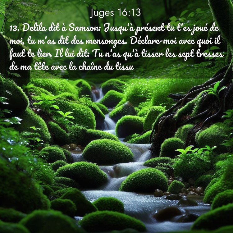 image nature avec verset biblique de la Bible