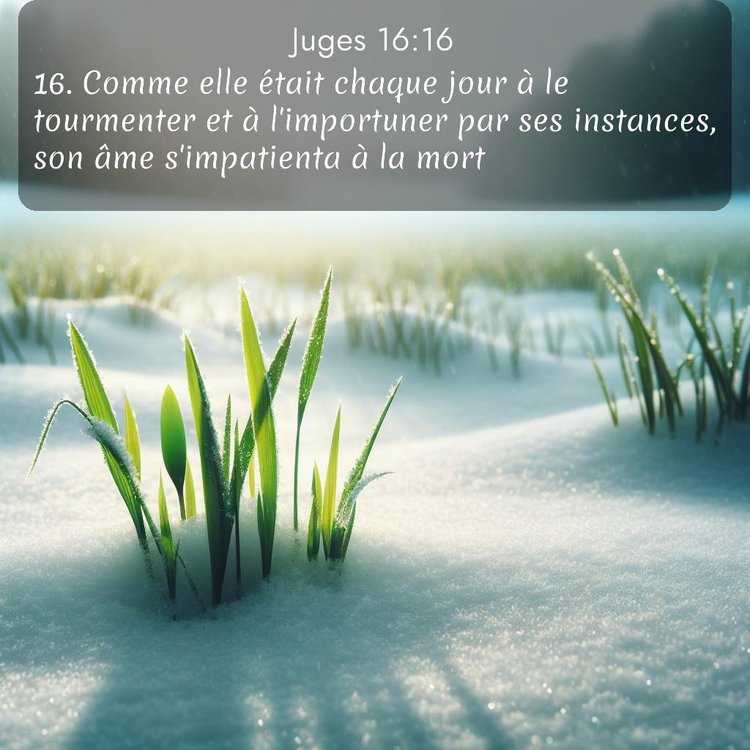 Segond Juges 16:16