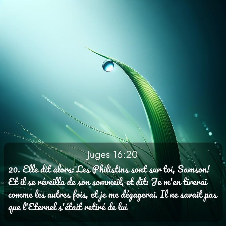 Segond Juges 16:20