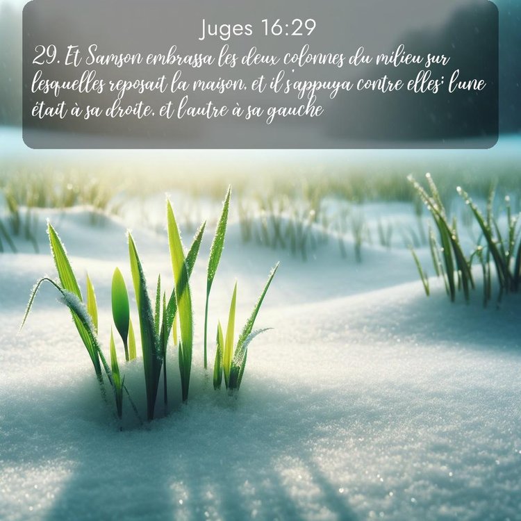 Segond Juges 16:29