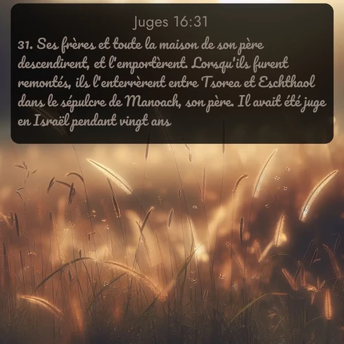 Segond Juges  ; image nature: image avec le verset biblique :Ses frères et toute la maison de son père descendirent, et l&#039;emportèrent. Lorsqu&#039;ils furent remontés, ils l&#039;enterrèrent entre Tsorea et Eschthaol dans le sépulcre de Manoach, son père. Il avait été juge en Israël pendant vingt ans. ;  ; 16:31