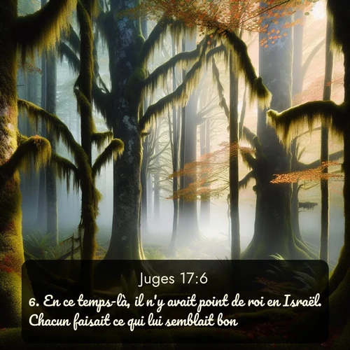 Segond Juges  ; image nature: image avec le verset biblique :En ce temps-là, il n&#039;y avait point de roi en Israël. Chacun faisait ce qui lui semblait bon. ;  ; 17:6