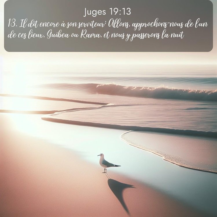 Segond Juges 19:13