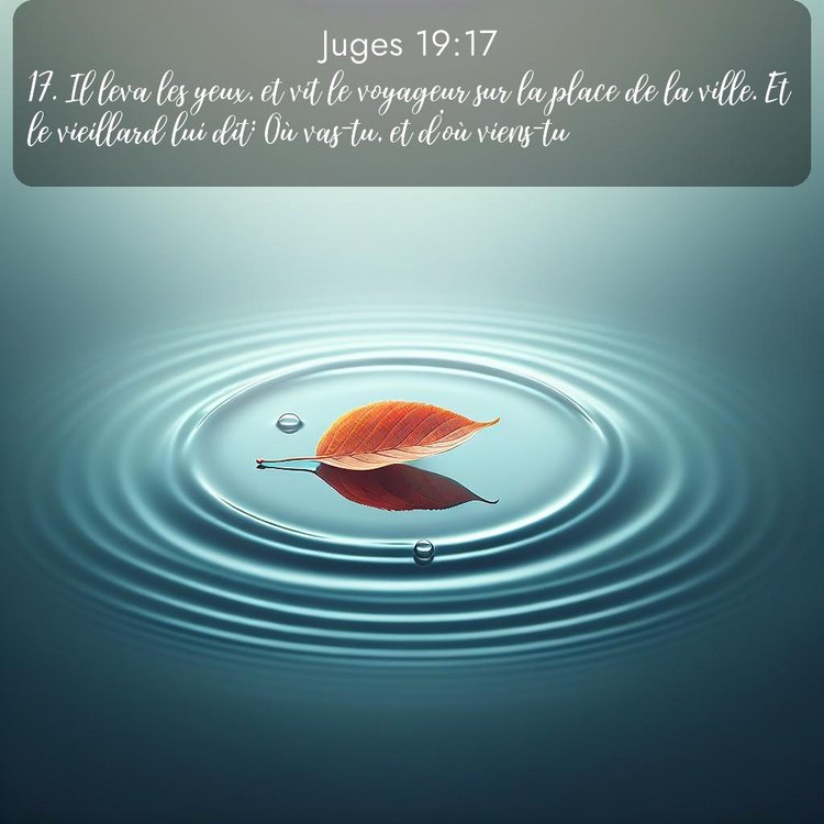 Segond Juges 19:17