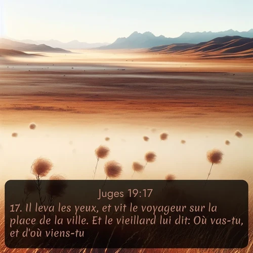 Segond Juges  ; image nature: image avec le verset biblique :Il leva les yeux, et vit le voyageur sur la place de la ville. Et le vieillard lui dit: Où vas-tu, et d&#039;où viens-tu? ;  ; 19:17