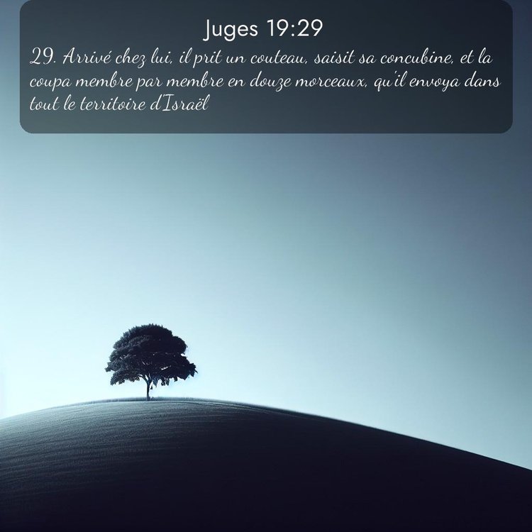 Segond Juges 19:29