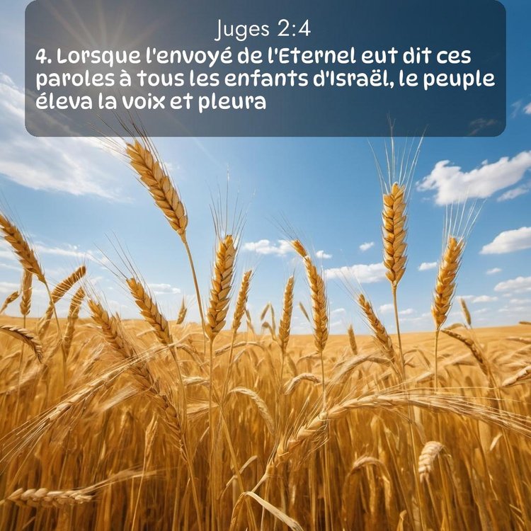 image nature avec verset biblique de la Bible