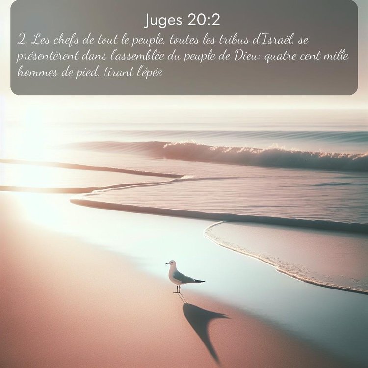 Segond Juges 20:2