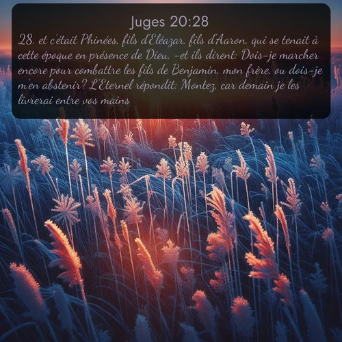 Segond Juges  ; image nature: image avec le verset biblique :et c&#039;était Phinées, fils d&#039;Eléazar, fils d&#039;Aaron, qui se tenait à cette époque en présence de Dieu, -et ils dirent: Dois-je marcher encore pour combattre les fils de Benjamin, mon frère, ou dois-je m&#039;en abstenir? L&#039;Eternel répondit: Montez, car demain je les livrerai entre vos mains. ;  ; 20:28