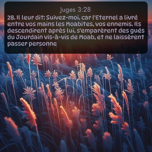 Segond Juges  ; image nature: image avec le verset biblique :Il leur dit: Suivez-moi, car l&#039;Eternel a livré entre vos mains les Moabites, vos ennemis. Ils descendirent après lui, s&#039;emparèrent des gués du Jourdain vis-à-vis de Moab, et ne laissèrent passer personne. ;  ; 3:28