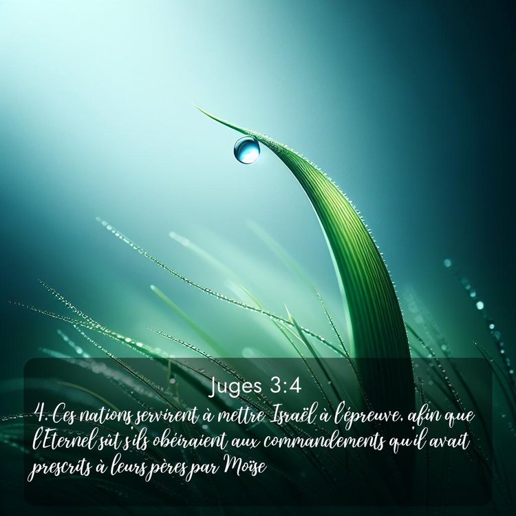 image nature avec verset biblique de la Bible