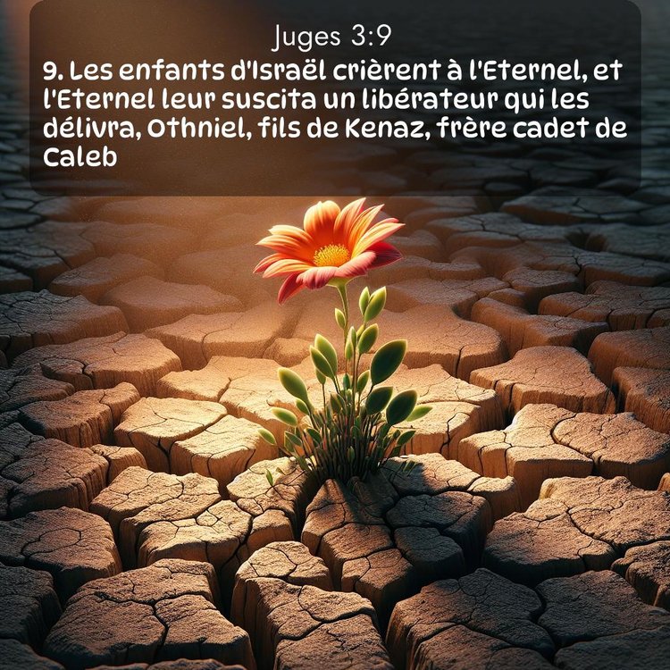 image nature avec verset biblique de la Bible
