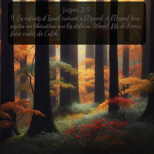 Segond Juges  ; image nature: image avec le verset biblique :Les enfants d&#039;Israël crièrent à l&#039;Eternel, et l&#039;Eternel leur suscita un libérateur qui les délivra, Othniel, fils de Kenaz, frère cadet de Caleb. ;  ; 3:9